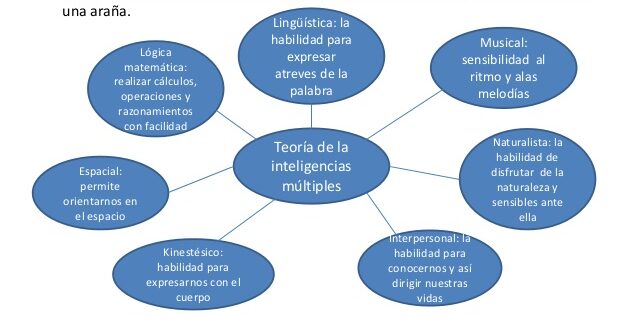 Mapa conceptual de Araña